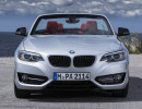 Der Grill und die Frontschürze des BMW 2er Cabrio